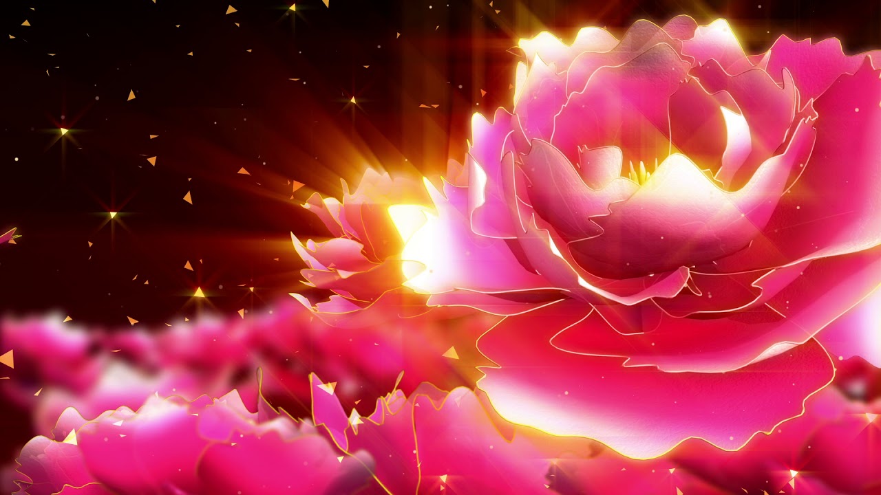 Animation, flash, roses, flowers photography&video background - YouTube