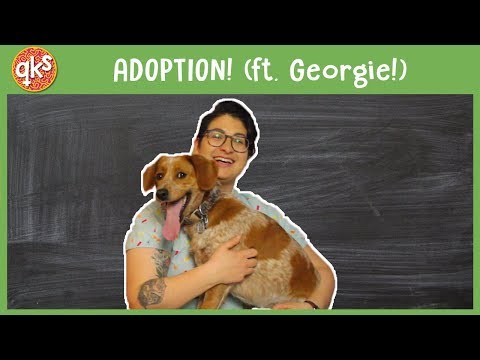 What about ADOPTION!?! (ft. Georgie the puppy!) - Family: QUEER KID STUFF #49