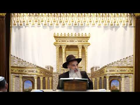 הרב מאיר דוד שמואלי שליט"א - תענית תשעה באב תשפ"ה