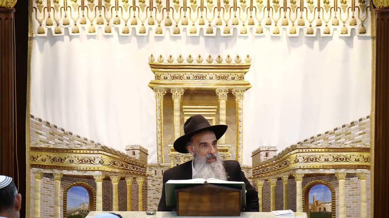 הרב מאיר דוד שמואלי שליט"א - תענית תשעה באב תשפ"ה