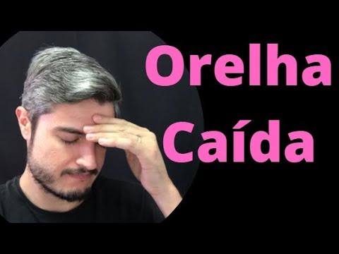 Vídeo: Como Levantar As Orelhas Do Seu Cachorro