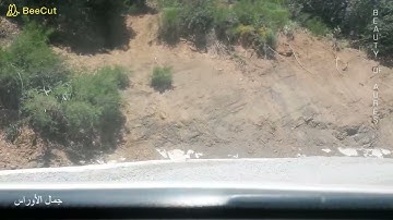 غابة الأرز كوندورسي وادي الشعبة ولاية باتنة : ما تيسر من سورة غافر - الشيخ محمد الإبراهيمي