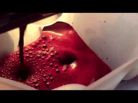 Making juice of