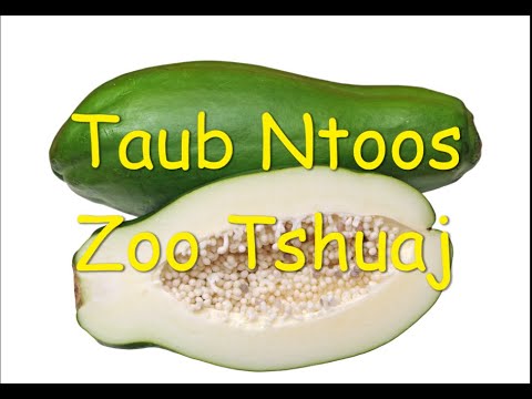 Video: Calabash Tsob Ntoo Cov Ntaub Ntawv: Calabash Tsob Ntoo Loj hlob thiab Kev Saib Xyuas