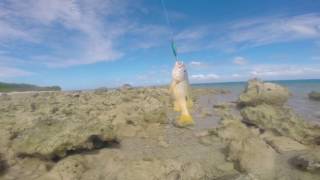 Sortie Kayak et petite pêche à Koumac Nouvelle Calédonie