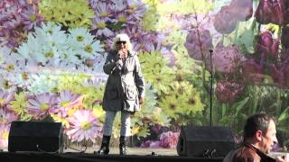 День поселения Отрадненское 2011 День поселения Отрадненское 2011