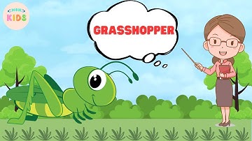 Grasshopper Facts For Kids 😊 Learn All About Grasshoppers | MON Kids
