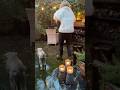 Extending Holiday Season Outside | Holiday Glow | London Garden | Abigail Ahern