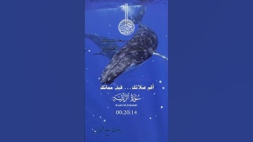 تلاوة خاشعة عطرة مباركة جميلة عذبة للشيخ سعد الغامدي سورة الزلزلة
