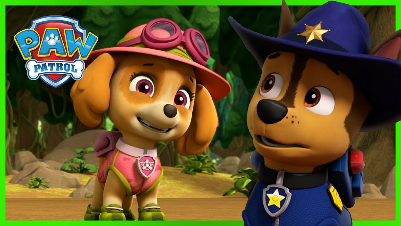 Chase and Skye Rescue Missions and MORE, PAW Patrol