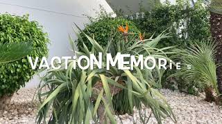 Vacation memories 2   1080WebShareName
