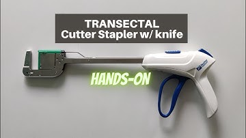 Transectal - Cutter Stapler w/ Knife (POV)