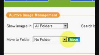 Build An Ebay Business Using Auctiva