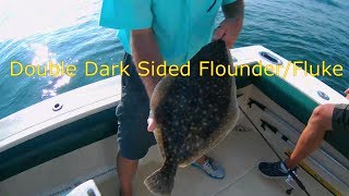 Double Dark Sided Flounder/Fluke