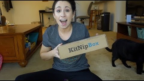 KITNIP UNBOXING FT MARIO & LUIGI