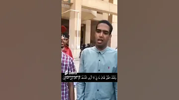 و ت ف ق د الط ي ر تقليد الشيخ الطبلاوي 