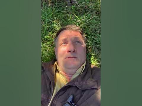 Медведь! - YouTube