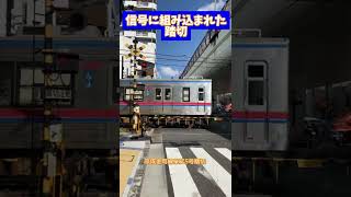 信号機に組み込まれた踏切【京成金町線柴又5号踏切】 #shorts #railroadcrossing #踏切