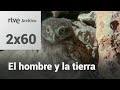 El hombre y la tierra: Capítulo 77 - Rapaces nocturnas ibéricas | RTVE Archivo