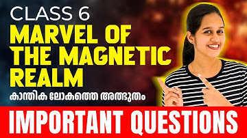 Class 6 Basic Science | Marvel Of the Magnetic Realm  | Most Important Questions | Exam Winner