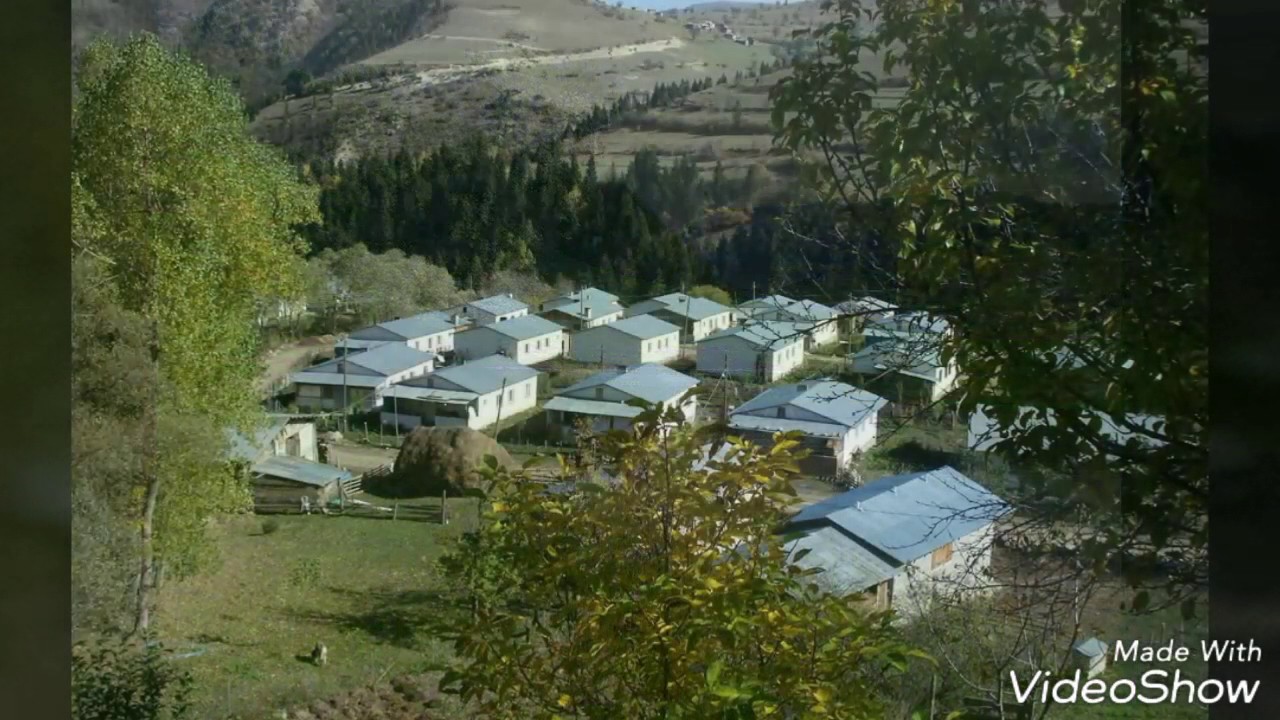 ARTVİN /ARDANUÇ/ BALLI KÖYÜ (GÜLİCA) 1