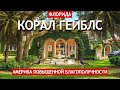 Корал Гейблс - Америка повышенной благополучности