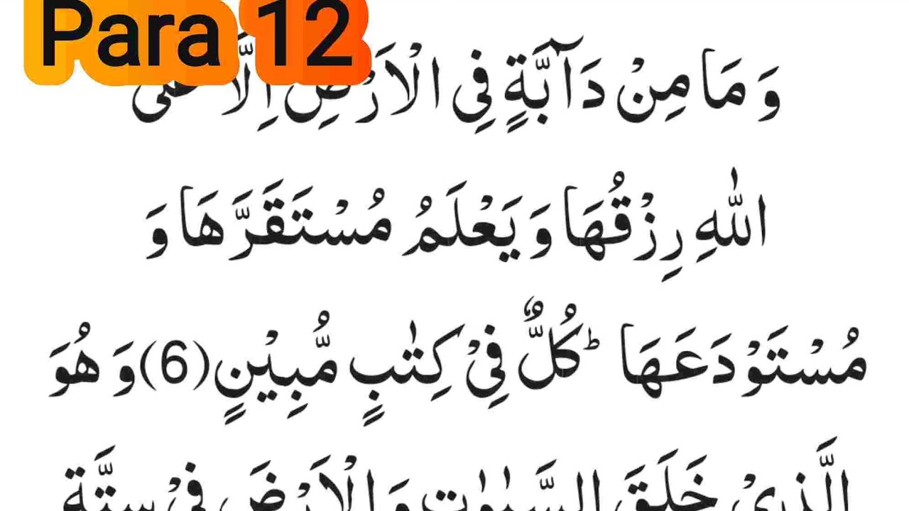 پارہ بارہ مکمل || جز 12 || وما من دابۃ || para 12 Tilawat Panipatti || Juz 12 || Wama Min Dabbah 