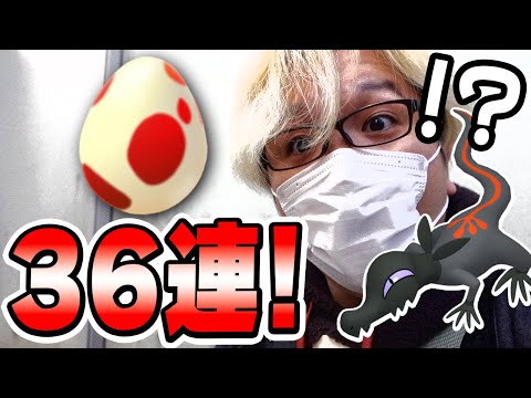 闇の12たま36連!!♀ヤトウモリ狙いは今やるべきか、この動画を見たら分かります【ポケモンGO】