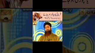 Qurbani ka Janwar mar Jaye ya chori ho Jaye to keya hukum ho ga@IslamicOfficial-Md9tv