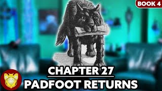 Chapter 27: Padfoot Returns | Goblet of Fire