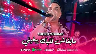 Cheikh Mourad 2026 Mabghach Galbeh Yabghini - شاباغي نديرله Exclusive Music By Kamel Patchika