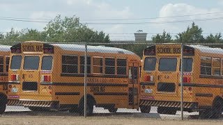 Austin ISD electric bus fleet could help electric grid | FOX 7 Austin