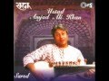 Ustad Amjad Ali Khan - Raga Bageshri (Sarod)