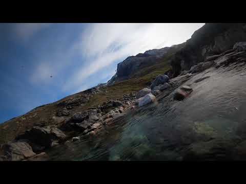 Video: Arctic Char: Beskrywing, Verbouing, Visvang