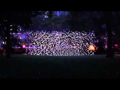 Scattered Light - Madison Square Park