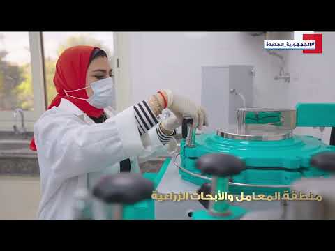 تطوير حديقة أنطونيادس خطوة نحو تحسين المساحات الخضراء في الإسكندرية