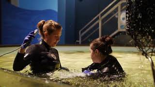 X-Rays & Ultrasounds at the Aquarium