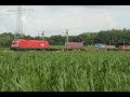 ÖBB Taurus 1116-124 mit Güterzug nahe Frankenfeld / locomotiva austríaca e trem de carga. EAT085526