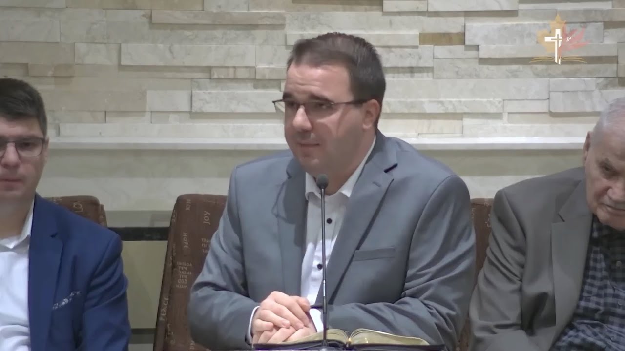 Andrei Bălulescu - Somnoroșii care vor pierde răpirea