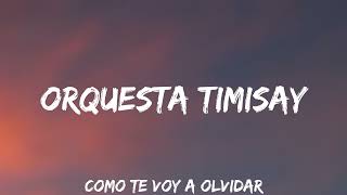 Video thumbnail of "Orquesta Timisay - Como te voy a olvidar"