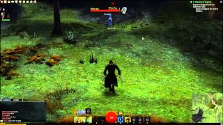Guild Wars 2: Elementalist BUG!