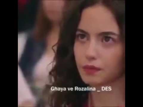 وحشانى دنيته وحشانى