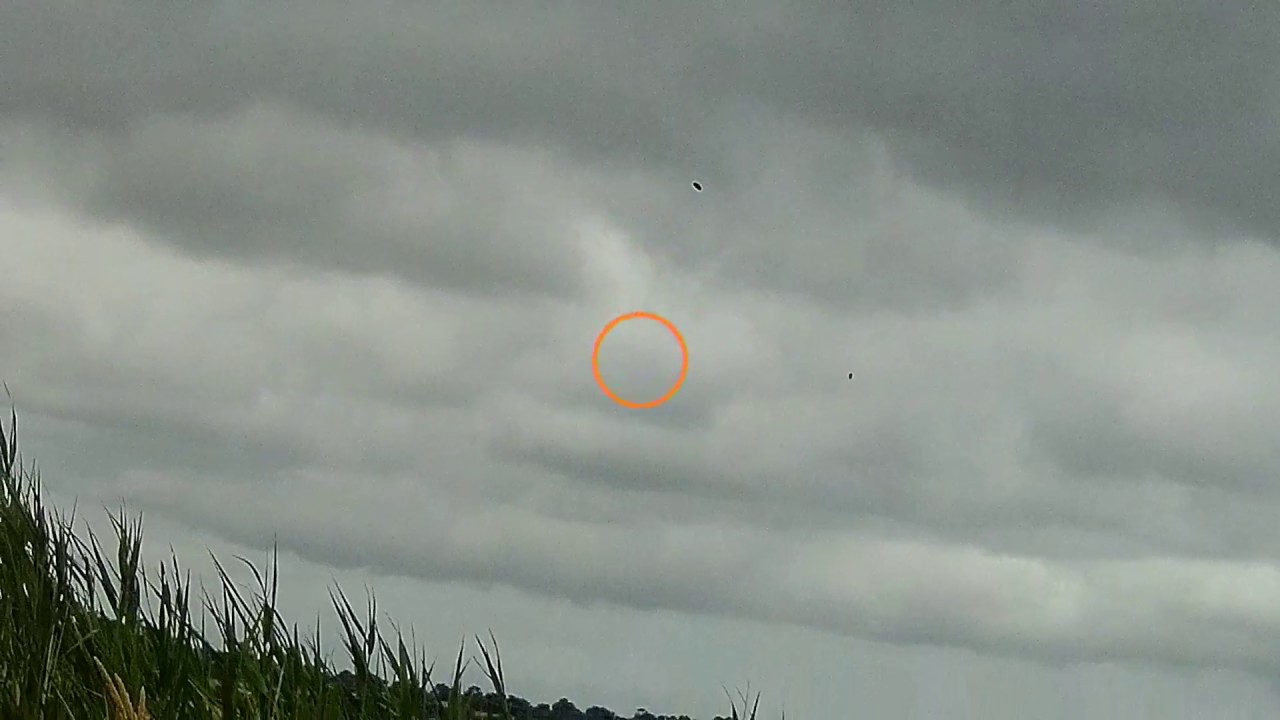 Sporting Clay shooting F&G Practice