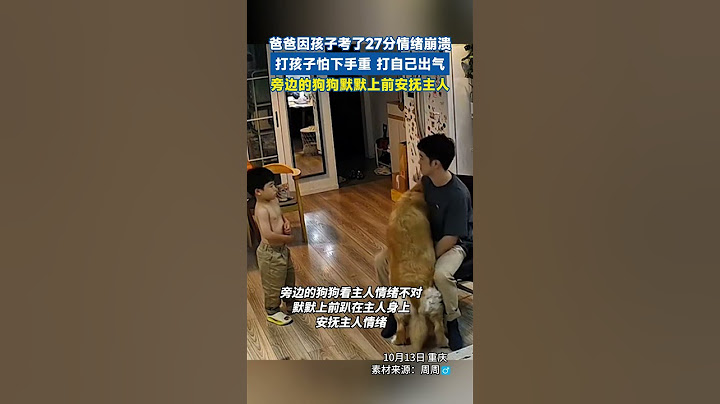 爸爸因孩子考了27分情緒崩潰，打孩子怕下手重，打自己出氣，旁邊狗狗上前安撫 #溫馨