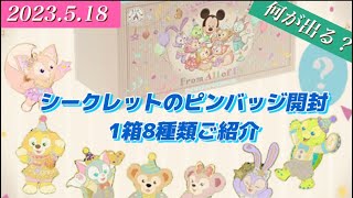 ダッフィー&フレンズのピンバッジセット】シークレットの