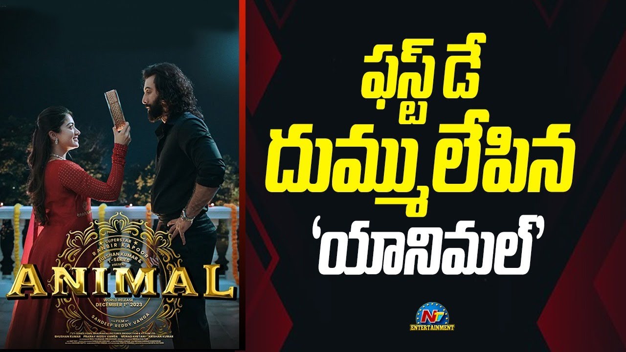 Ranbir Kapoor's Animal Movie Day 1 Box Office Collections | Sandeep Vanga, Rashmika || @NTVENT