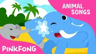 Mr. Fun Elephant | Elephant | Animal Songs | Pinkfong Songs for Children