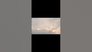 تلاوة من سورة فاطر الاية 34-35 | ناصر القطامي
