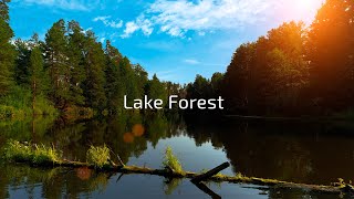 Lake forest