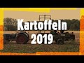 Kartoffelanbau 2019